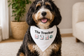 Pet Bandana - Tile Tracker